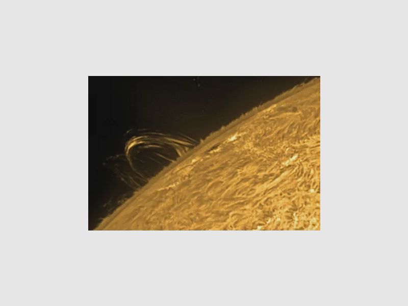 Filtre solaire H-Alpha LUNT LS100FHa/B1200d1, image 12 sur 13
