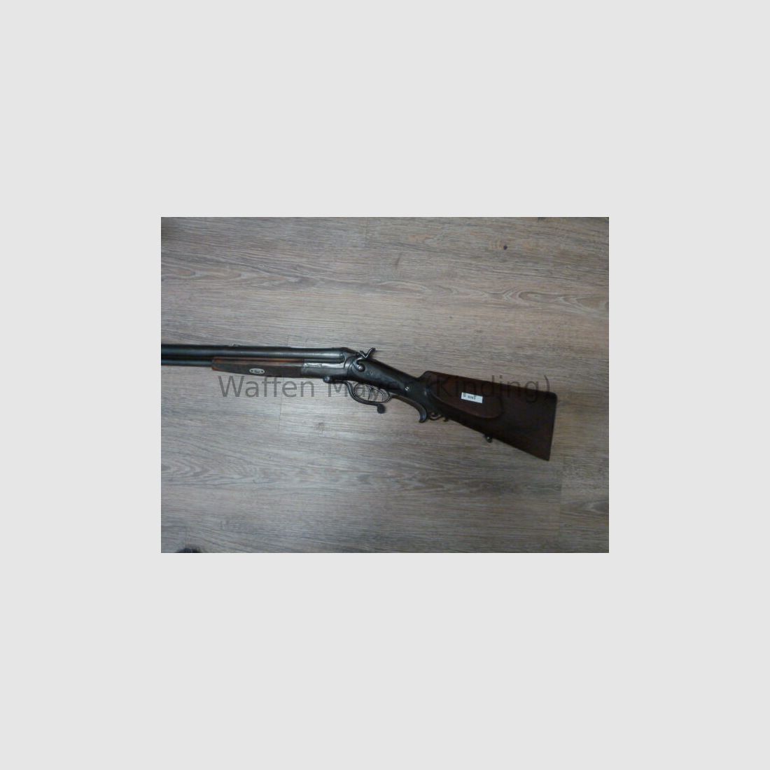 escopeta de perro desconocida