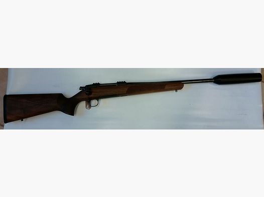 Steel Action HM