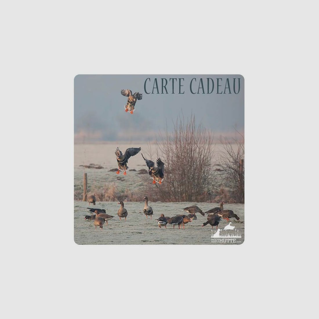 Carte cadeau, image 4 sur 4