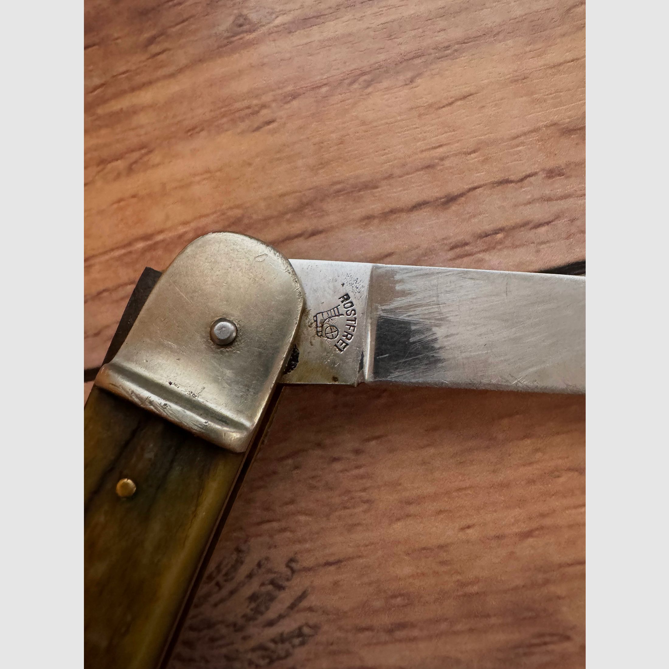 Collezione coltello pieghevole Springer Bonsa Solingen manico in corno di cervo Wingen