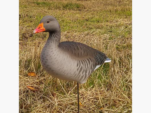 GHG Full Body grauwe gans lokkers (6 st.)