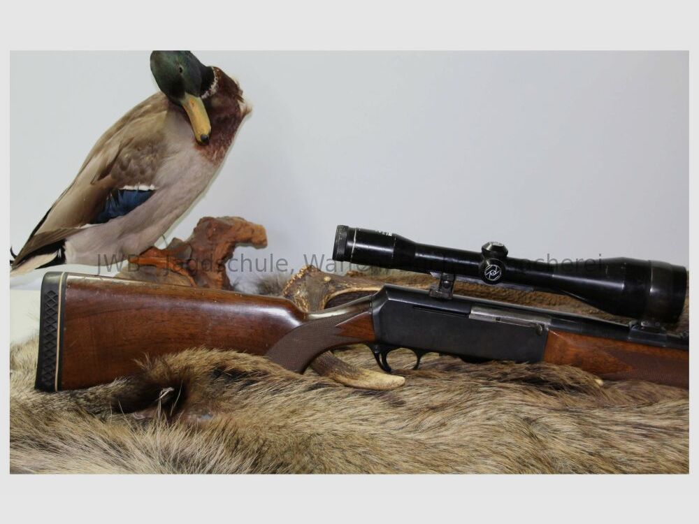 FN semi-automatic rifle Browning Bar with Zeiss .30-06Spring