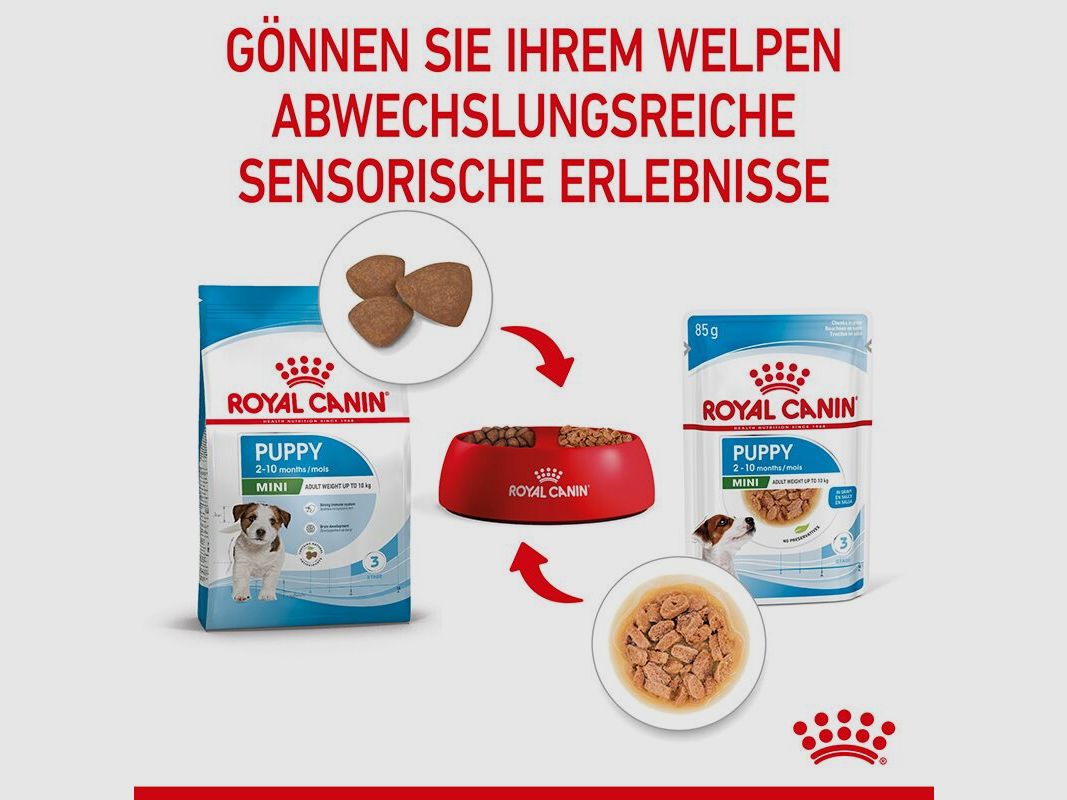 ROYAL CANIN Kleine Hunde Nassfutter Welpen bis zum 10. Monat 12x85 g
