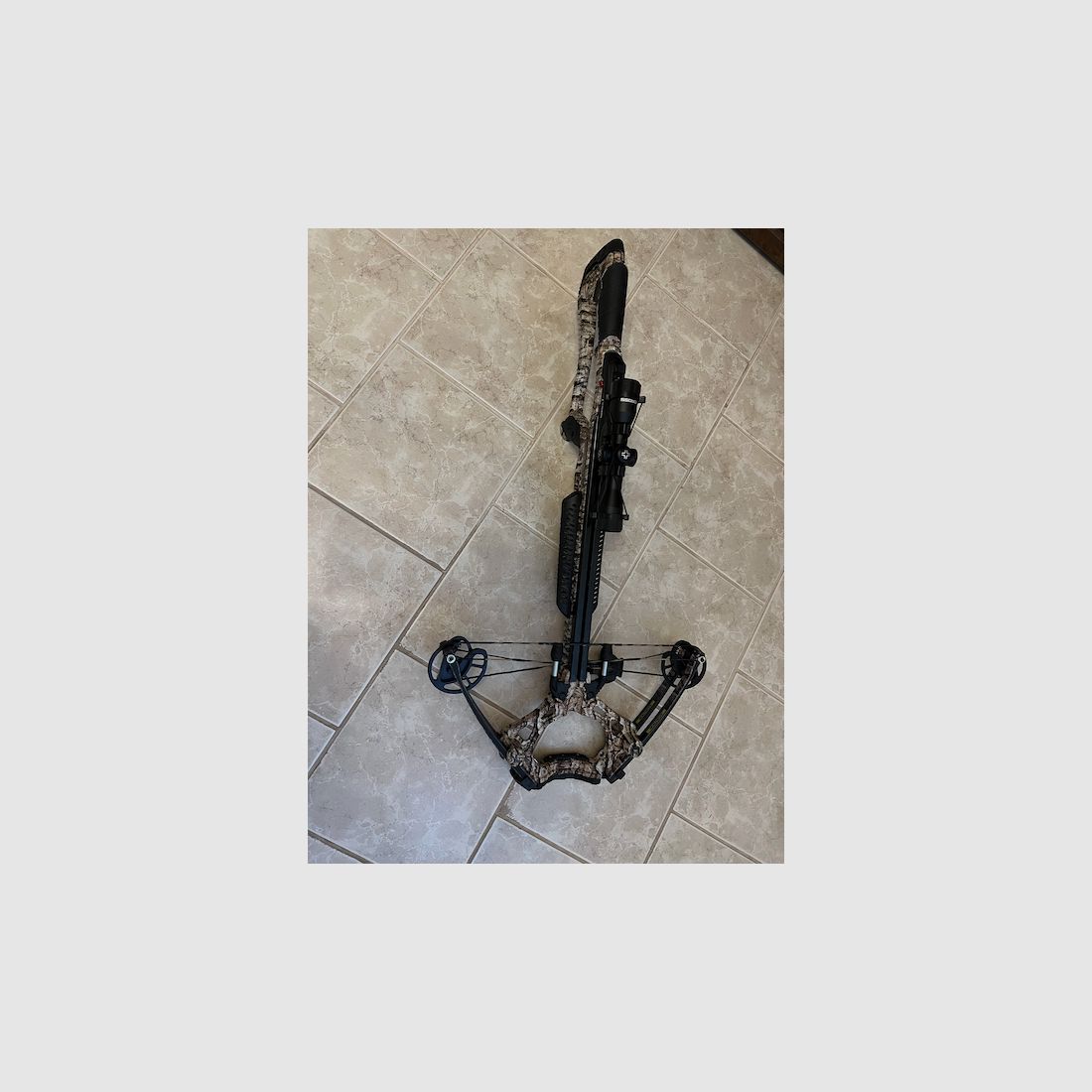 Barnett Whitetail PRO STR