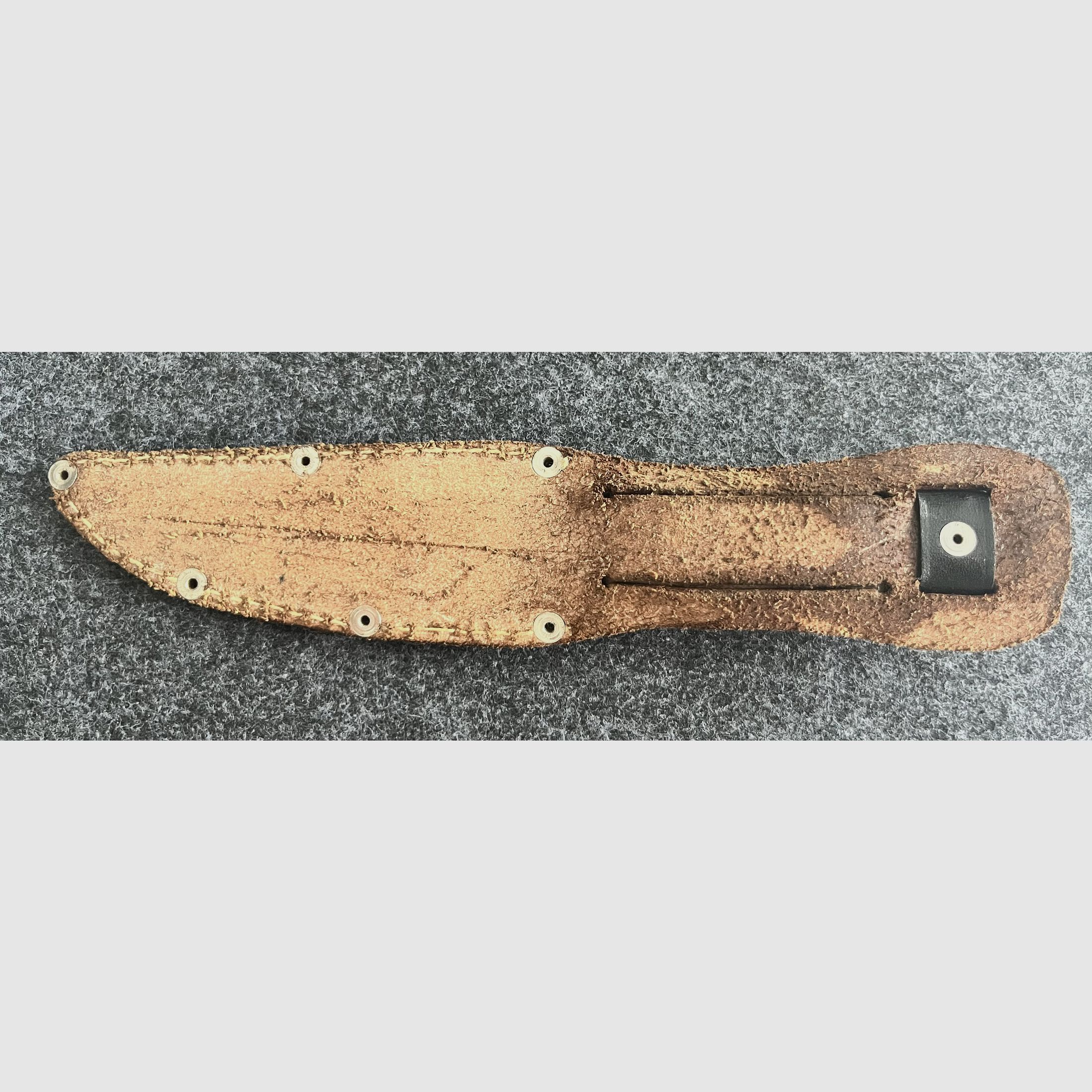 Solingen hunting knife "Ackermännchen" – Real horn handle with fine deer carving & leather sheath