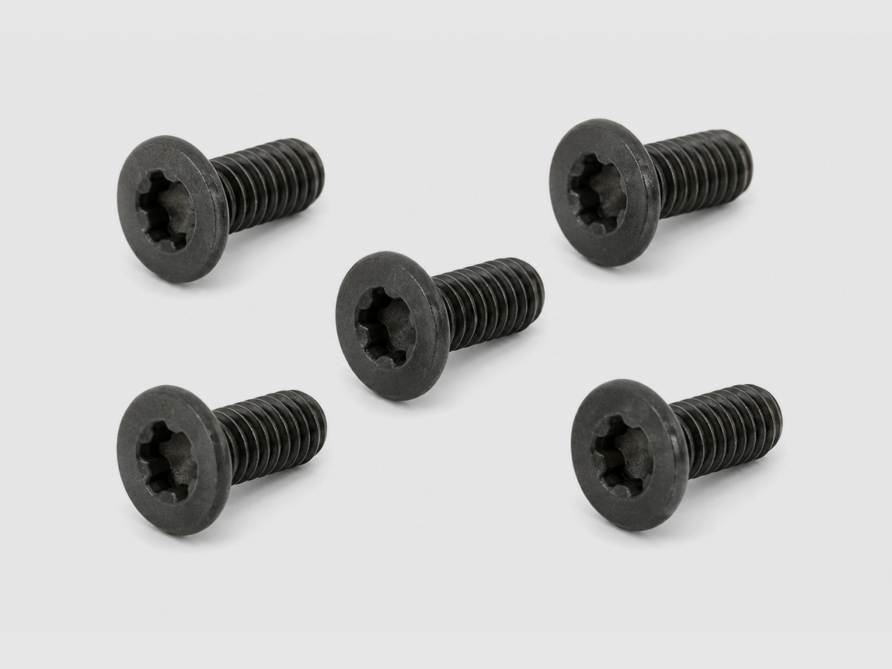 Spuhr M4x10 Tx20 Gen1 Haubenschrauben - 5 Stück