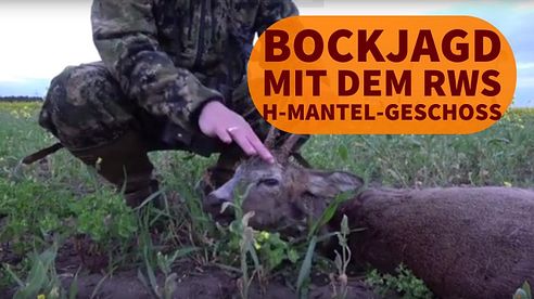 Bockjagd mit dem RWS H-Mantel-Geschoss: Hält die Jagdmunition im Praxistest was sie verspricht?