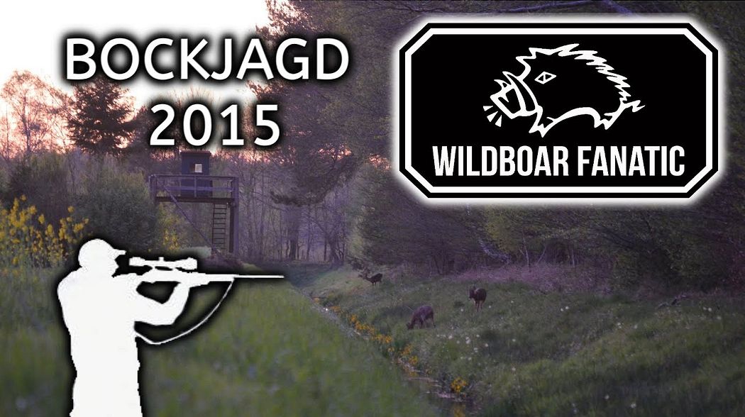 Bockjagd 2015