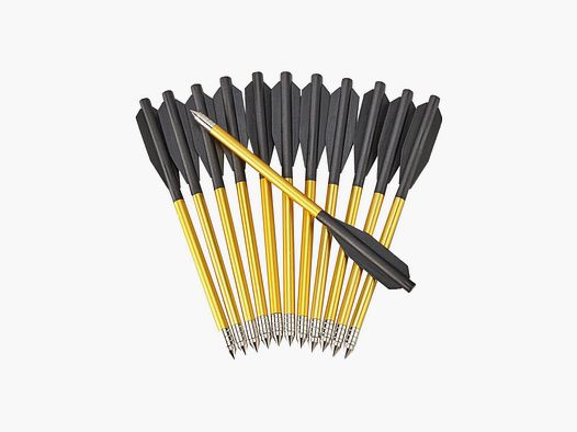 Aluminum Arrows for Crossbow 80 lbs 12 pcs