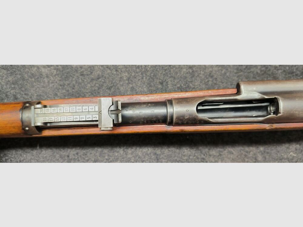 Schmidt Rubin G11