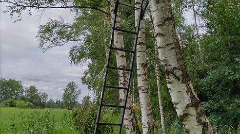 Fritzmann Baum-Hochsitz