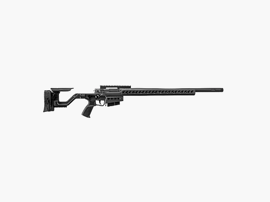 Accuracy international ATX
