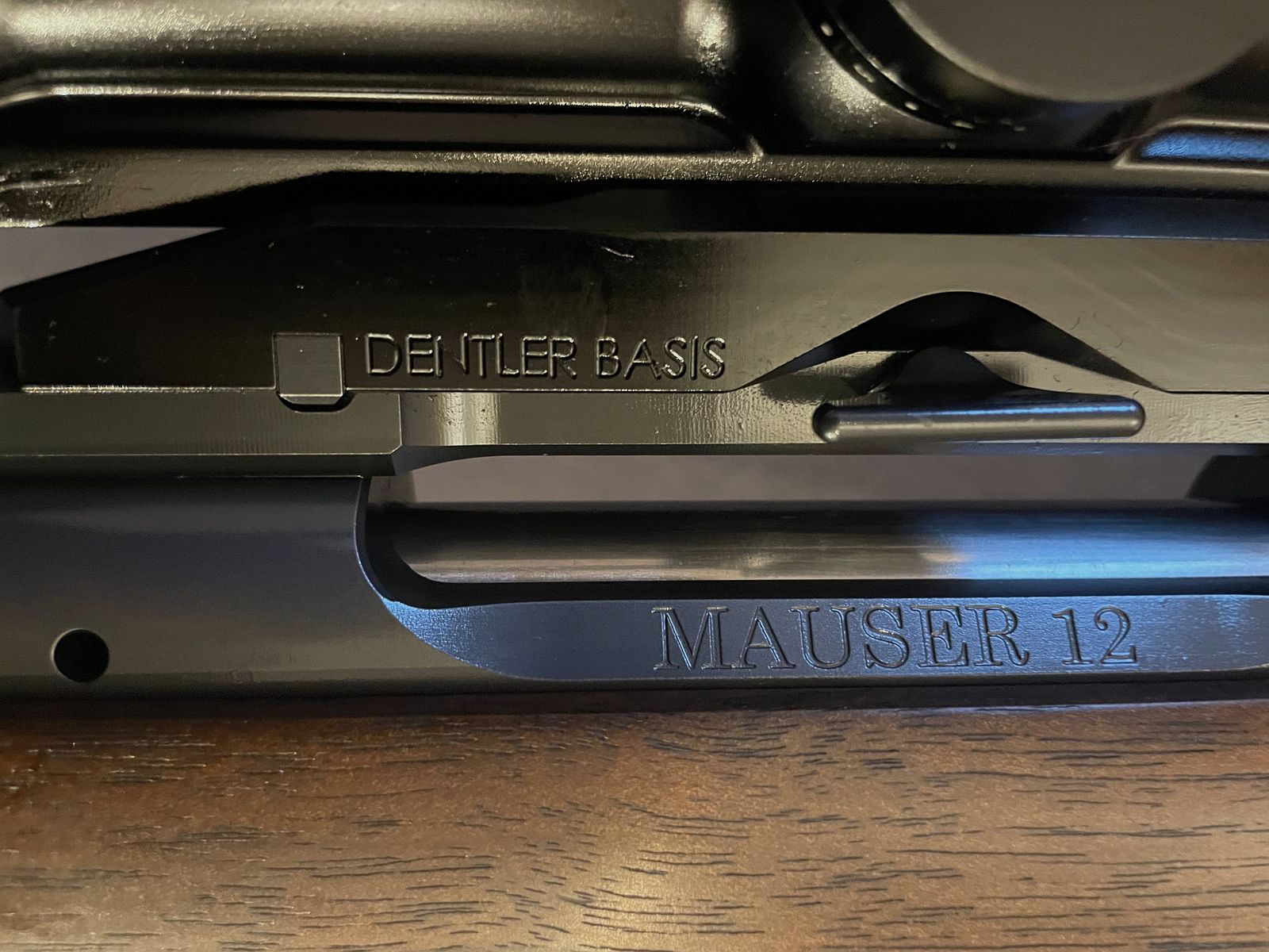 Mauser M12 + Steiner Ranger 4+ ammunition + case