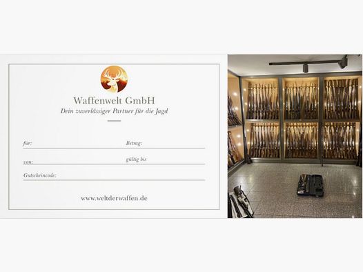 Vale regalo mundo de armas