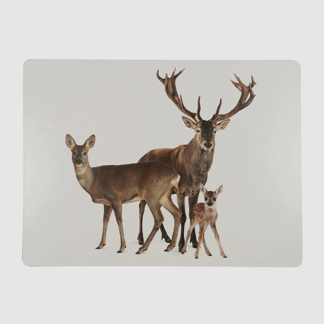 LivingActive Tischset Rotwild Familie 30x40 cm - 4 Stk.