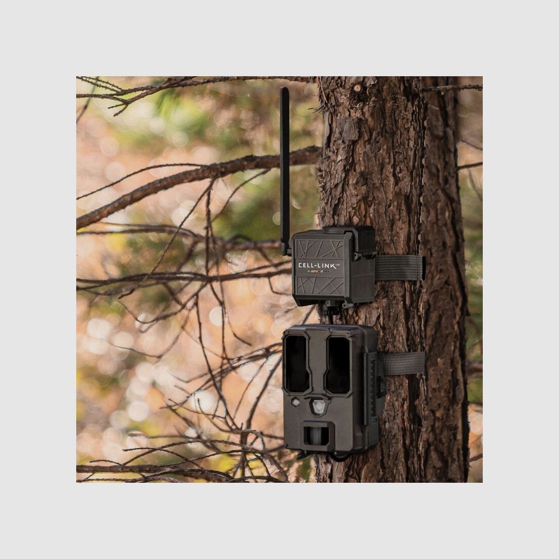 SPYPOINT Wildkamera Cell Link