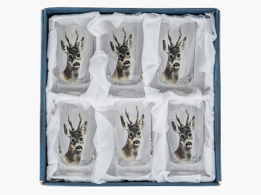6 shot glasses