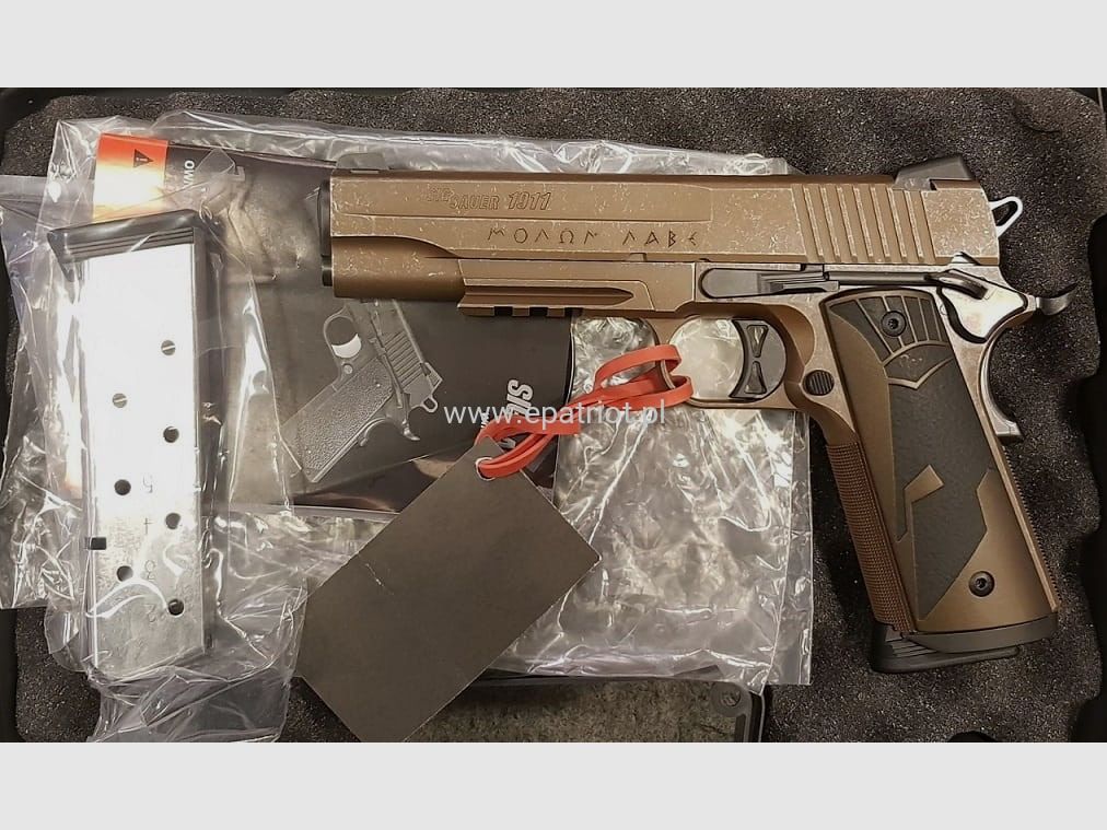 Sig Sauer 1911 Spartan II Pistole