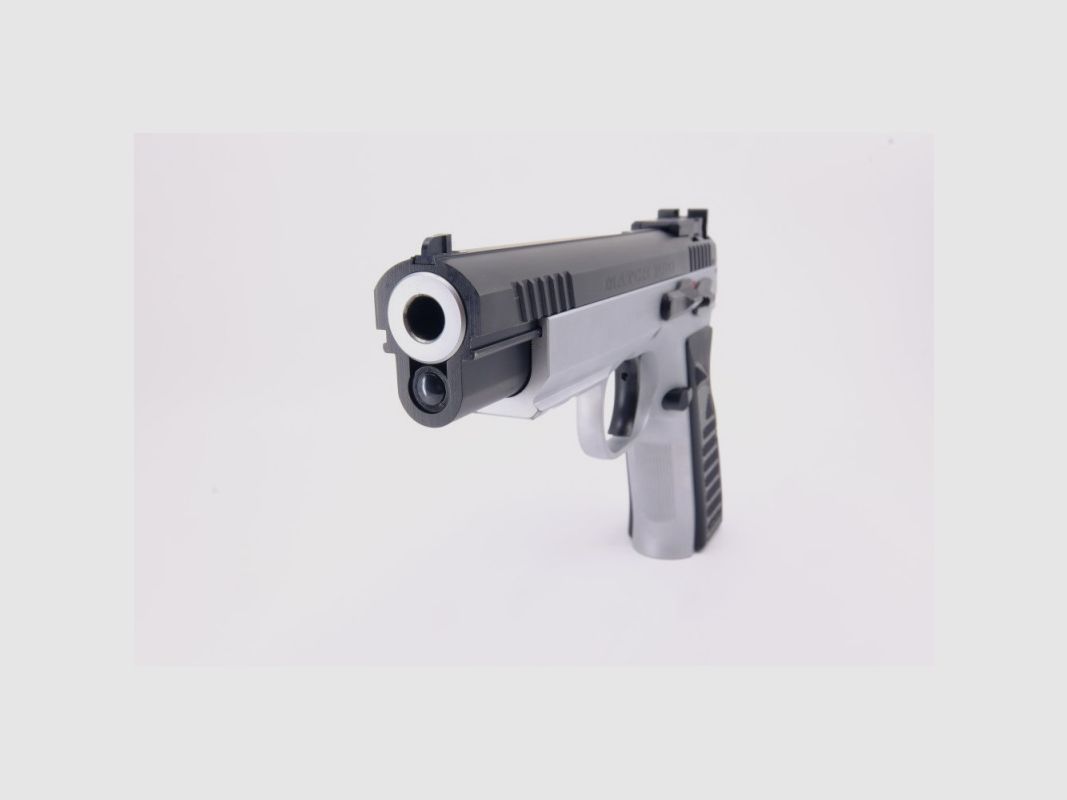 Tanfoglio Match Pro, image 6 sur 6