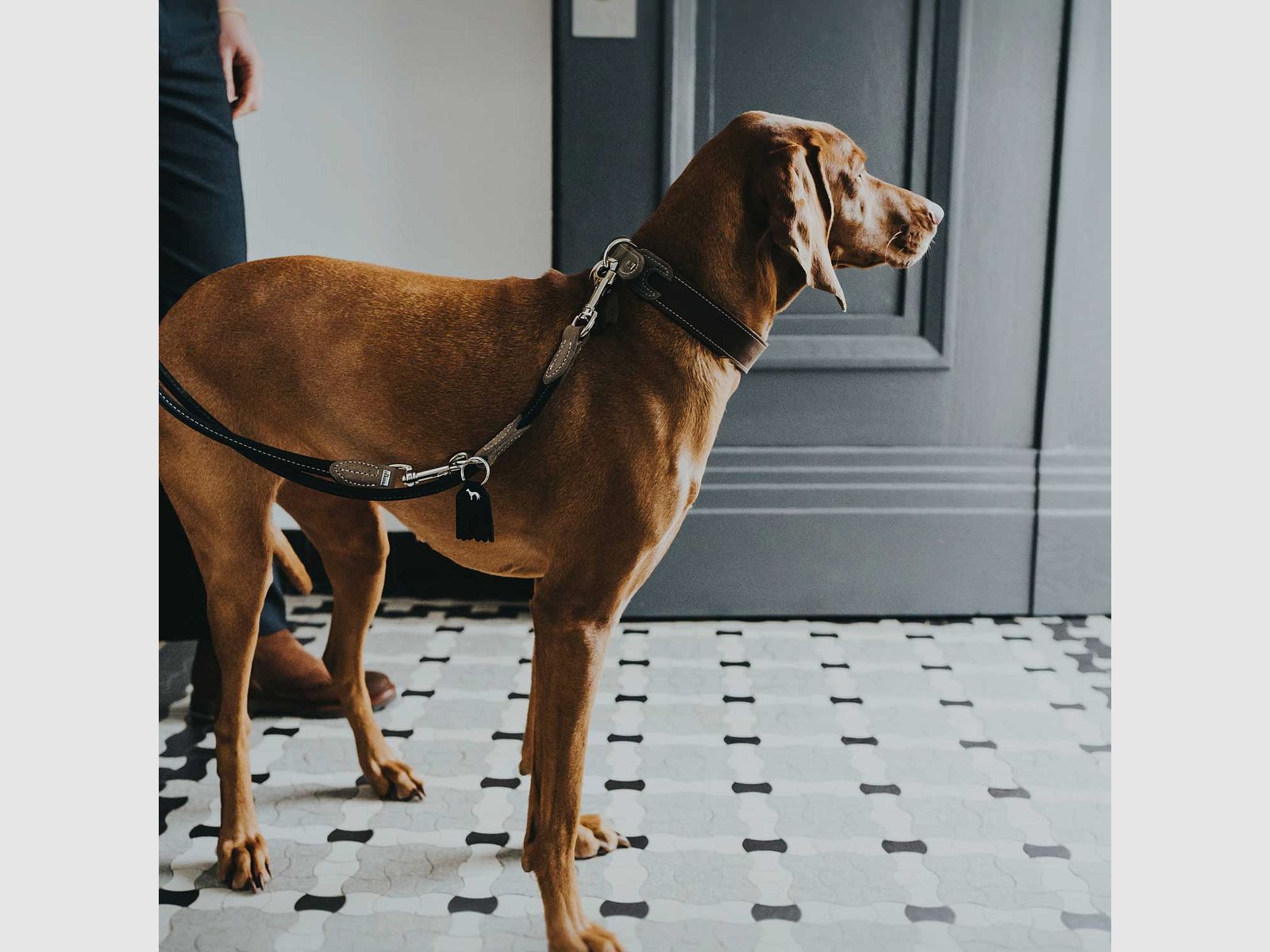 Hunter verstellbare Führleine Round & Soft Hunting