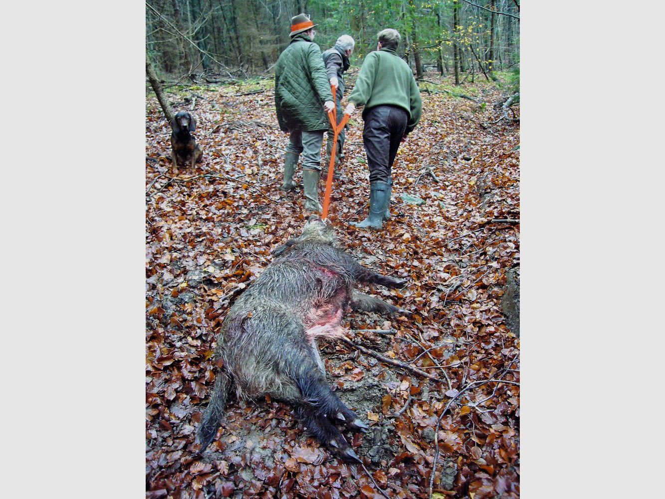 TJS Dreizug-Wildbergehilfe