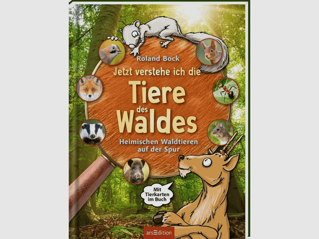 Kinderbuch "Jetzt verstehe ich die Tiere des Waldes"