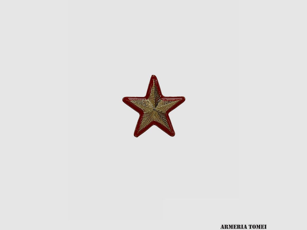 METAL STAR GOLD GRADE RED BORDERS WITH SCREWS (PAIR)