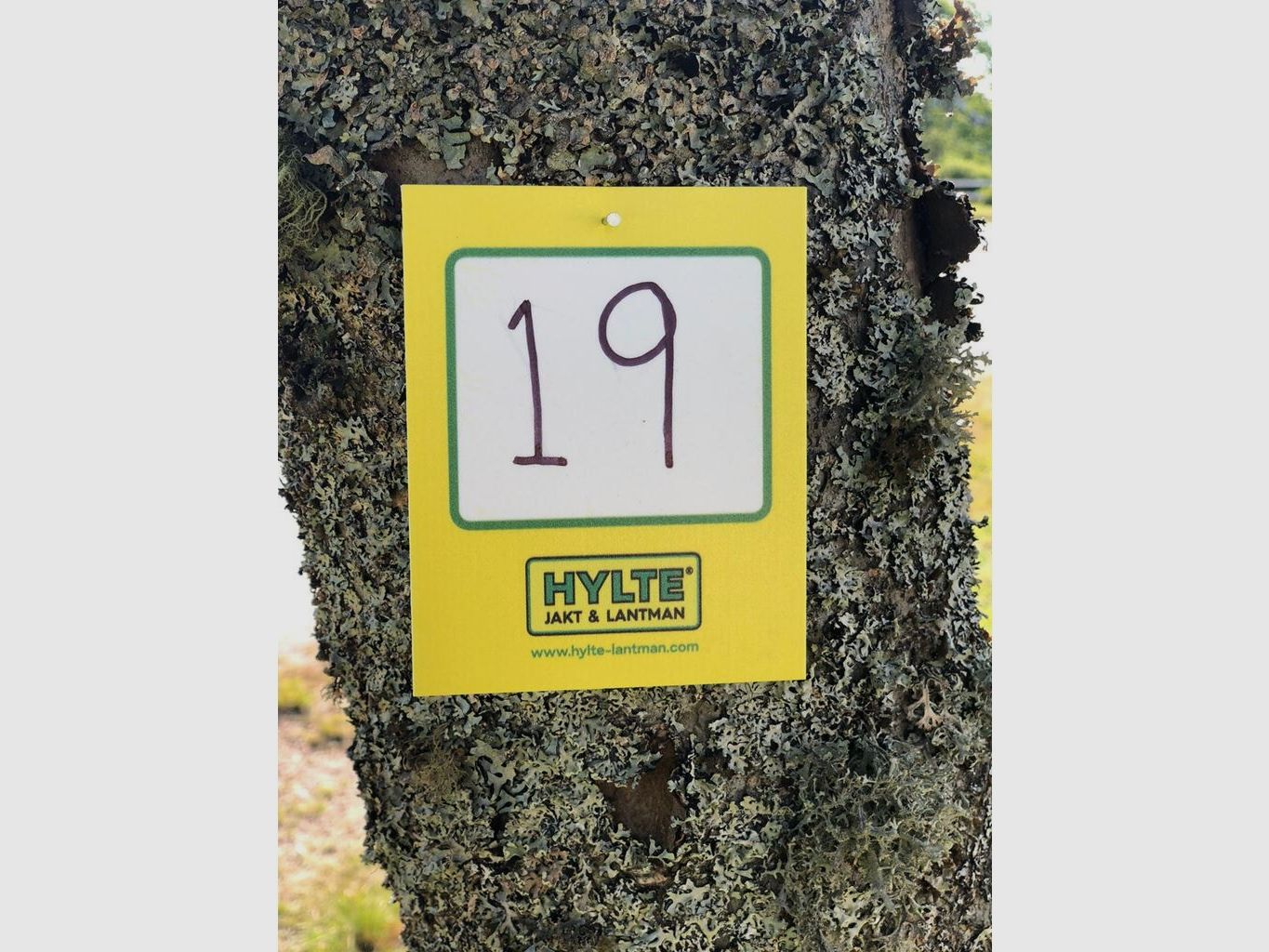 Hylte Schild Gelb