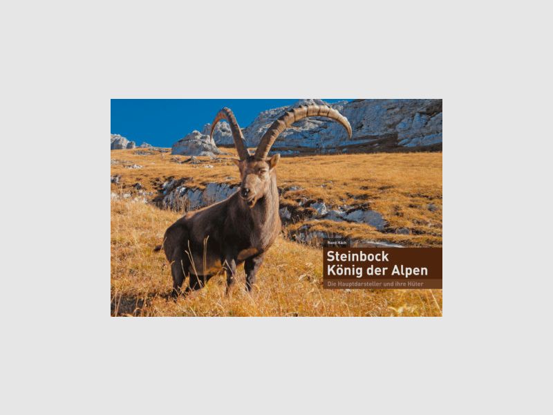 Steinbock König der Alpen Rudolf Käch