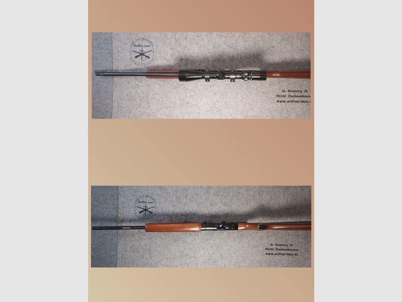 Winchester Mod. 270 Pump Action .22lr. Répétiteur à pompe avec poignée avant