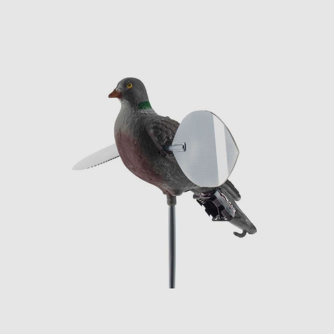 Colombaccio ali giregoli Lucky Duck - LUCKY PIGEON HD, imagen 1 de 2