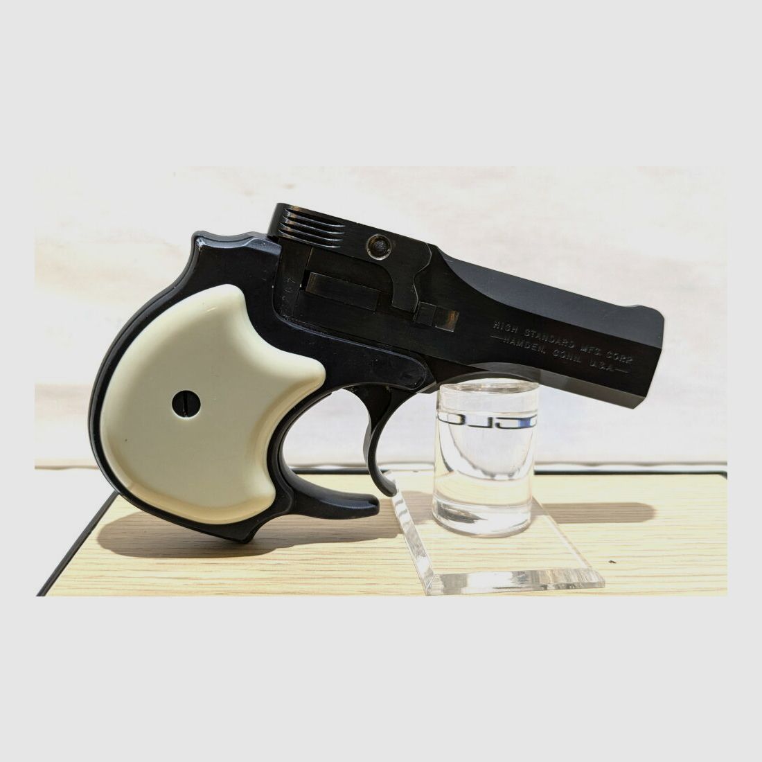 High Standard DM 101