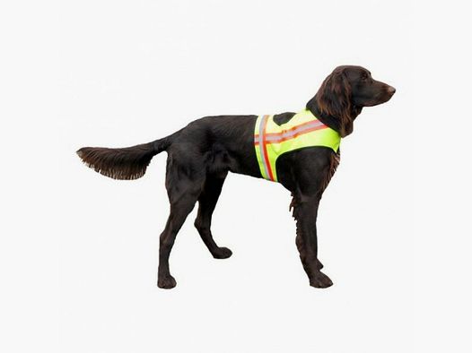 Honden veiligheidsvest