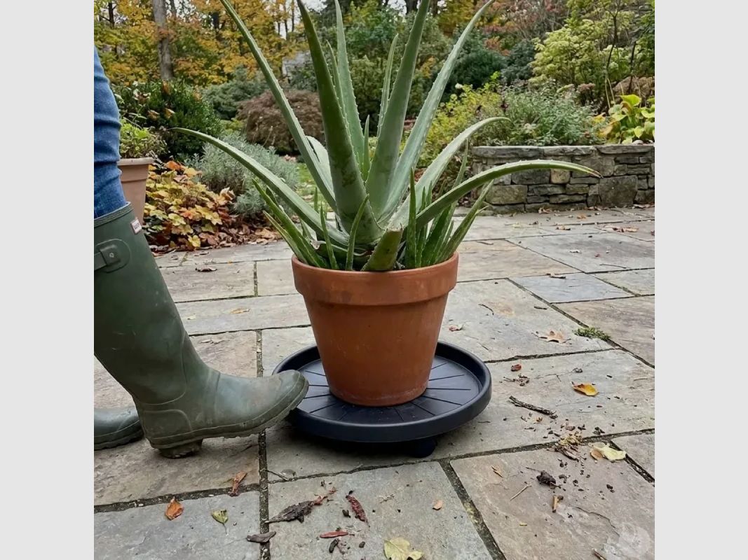 Pflanzenstütze mit Rollen 30 cm, Bild 7 von 11