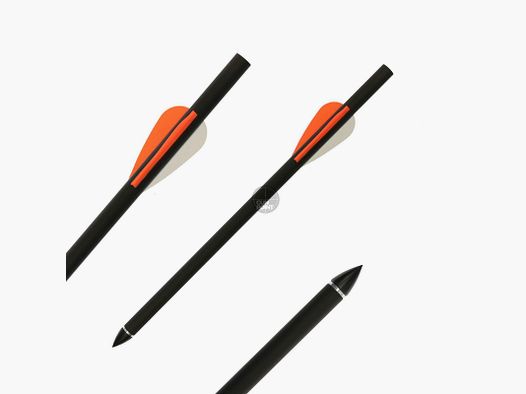 GOLDTIP Swift / Laser II - Flèches en carbone - 16,5 pouces - Notre recommandation !