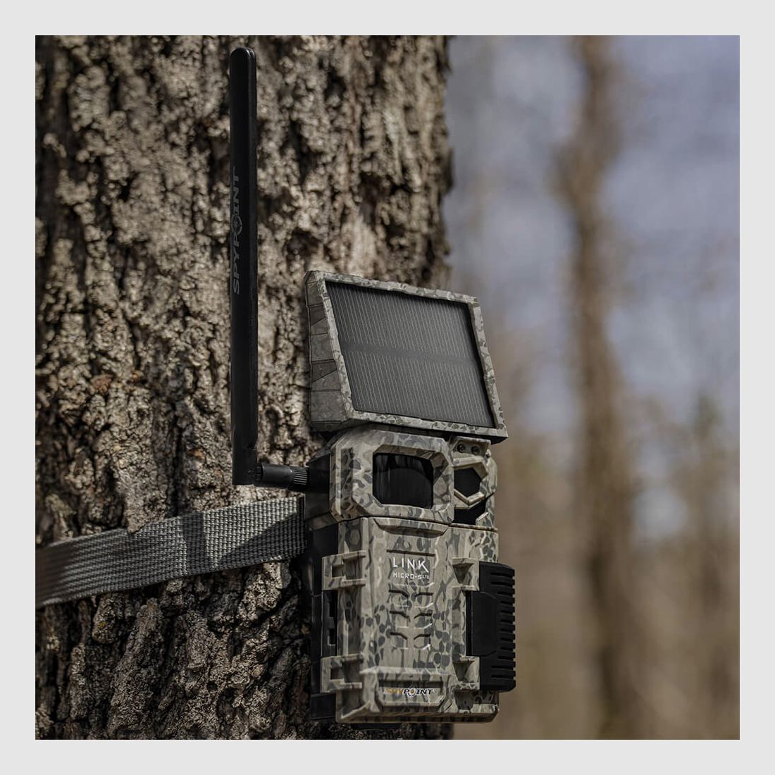 SPYPOINT Wildkamera Link-Micro-S-LTE