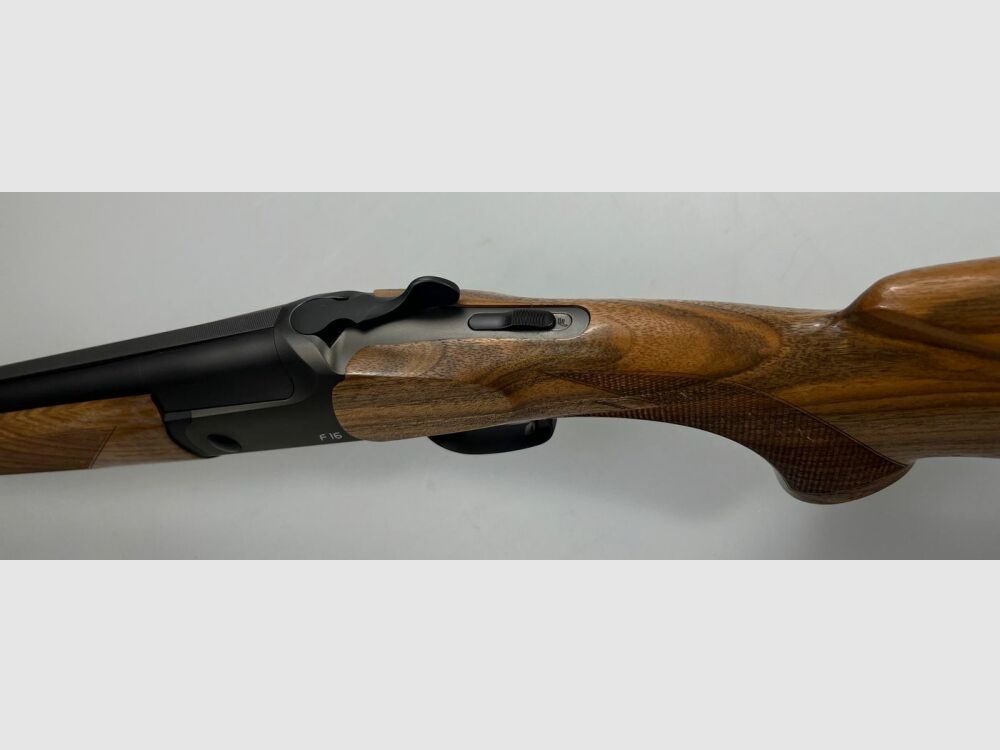 Blaser F16 Game