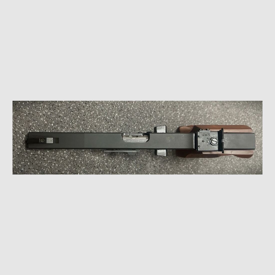 Walther GSP
