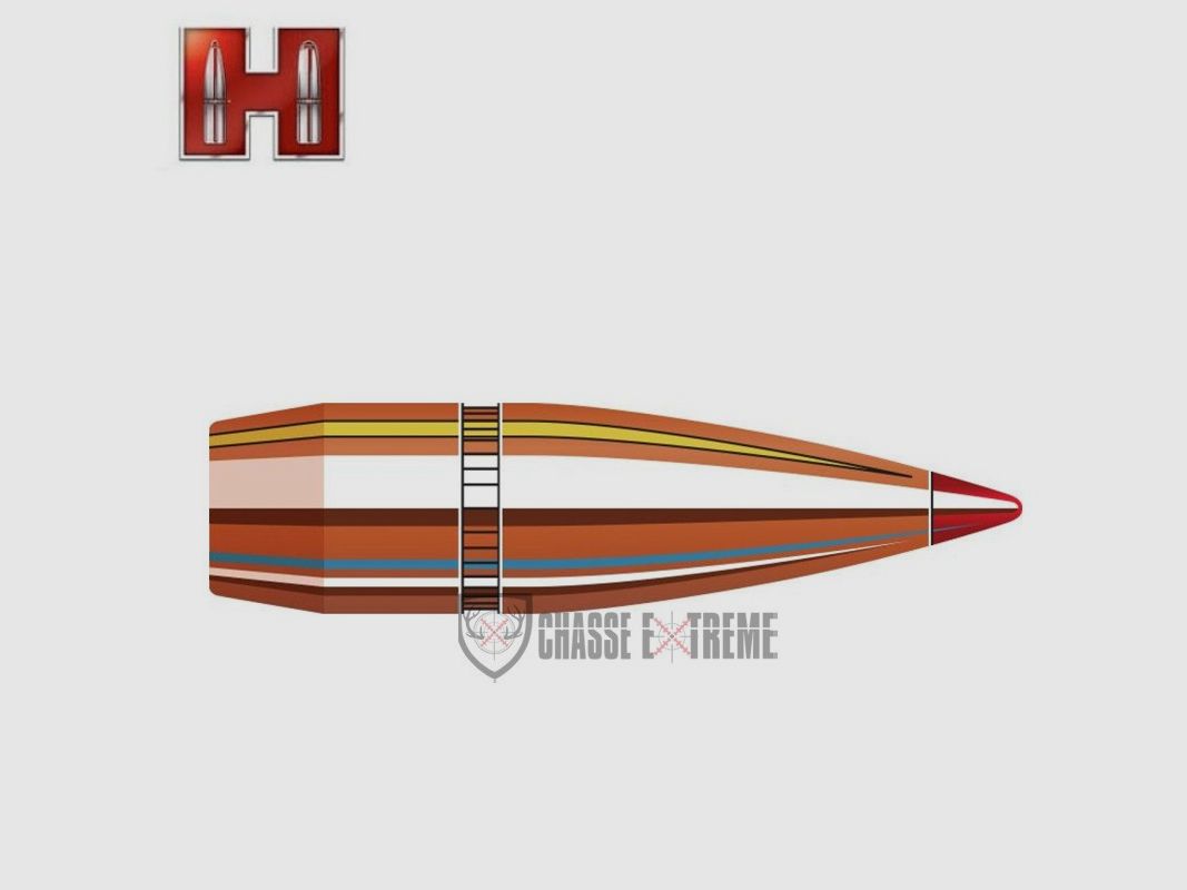 100 Geschosse HORNADY 8mm 170 Gr Sst