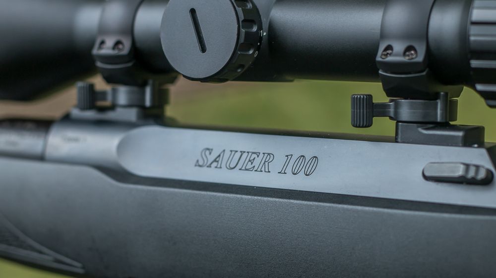 Sauer 100