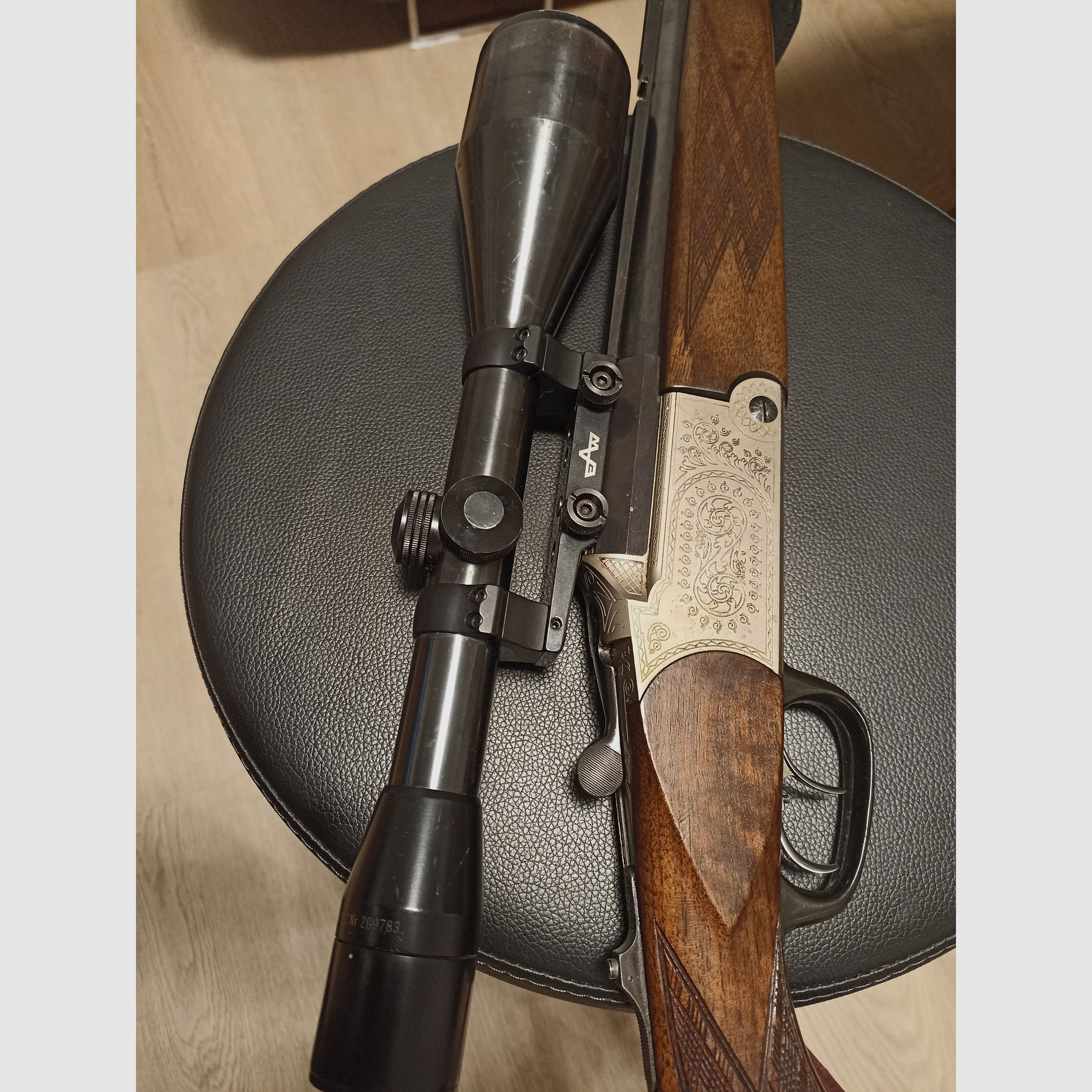 Blaser es 67