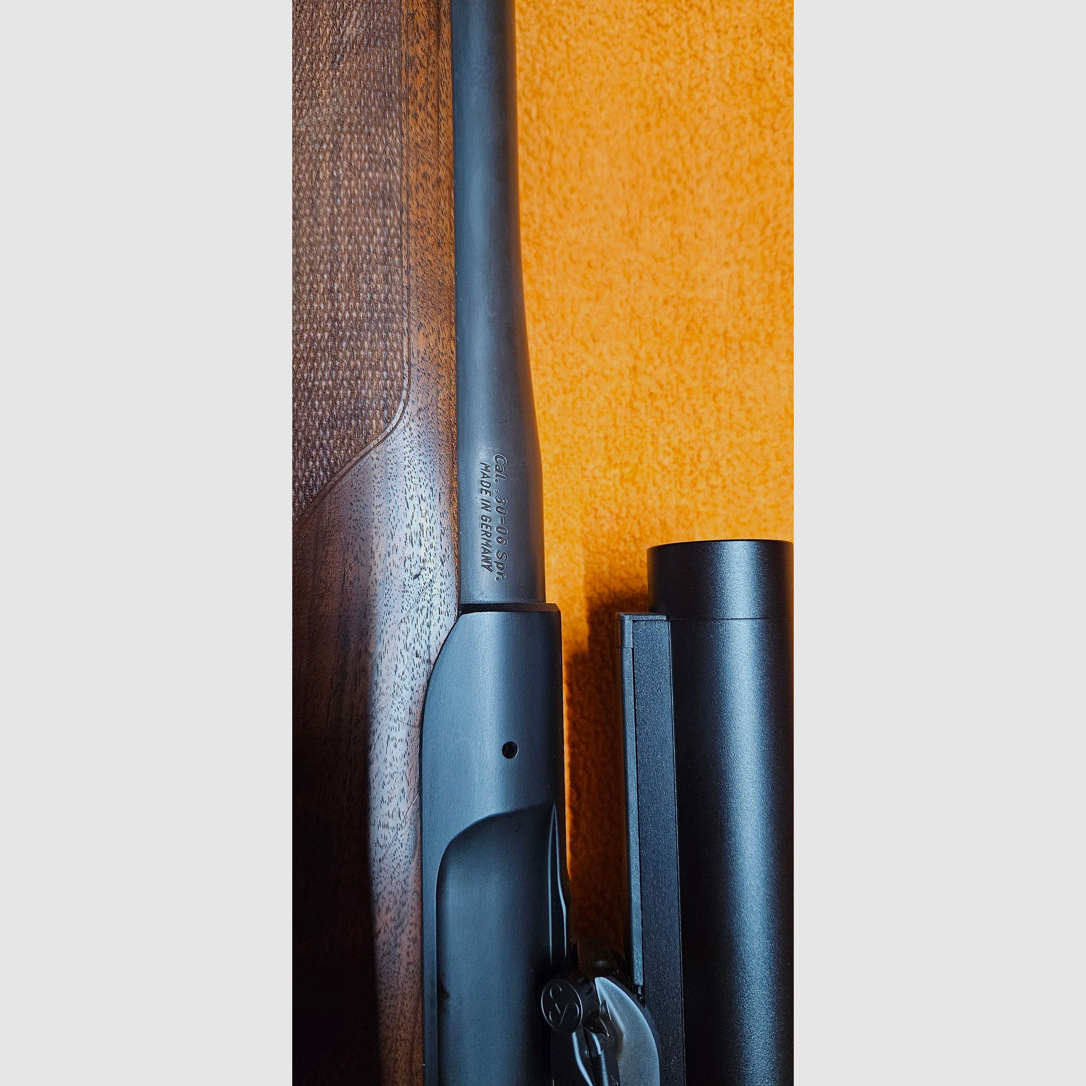 Sauer 303 Classic .30-06 mit Swarovski Z6i 1-6x24 SR & Sauer-Montage