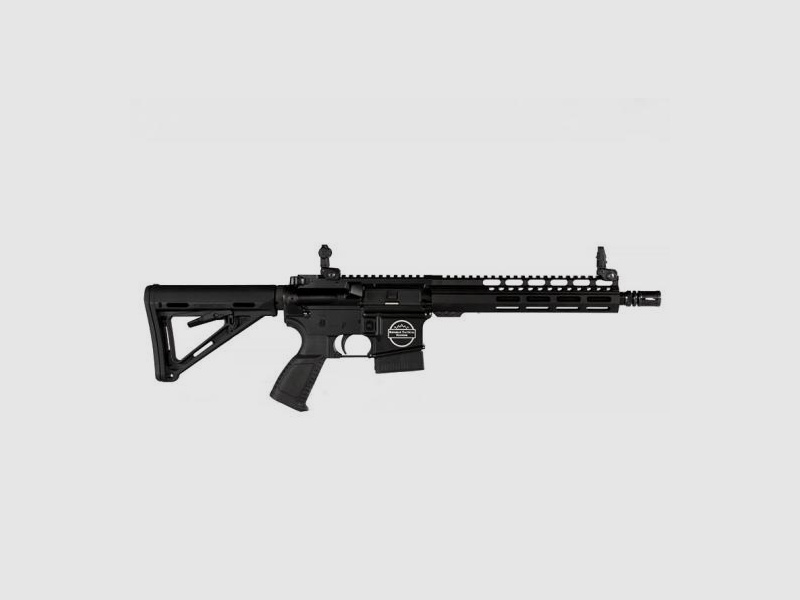Bavarian Tactical Systems BTS-15 9mm Luger, Jäger 10"