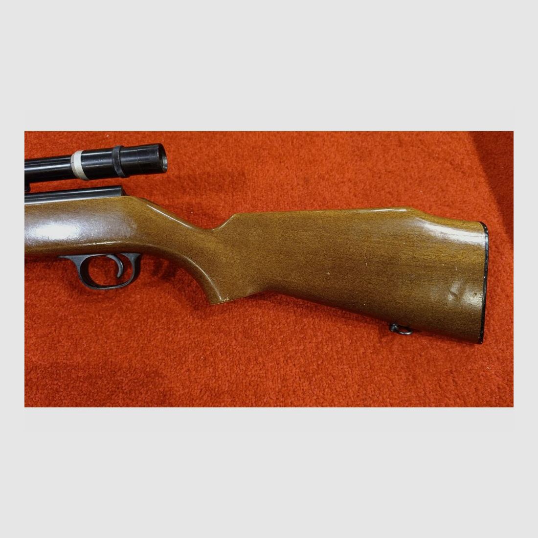 Savage Model 845 .22lr
