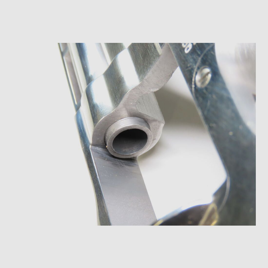 Revolver Taurus Euro Champion en acier inoxydable de 6 pouces