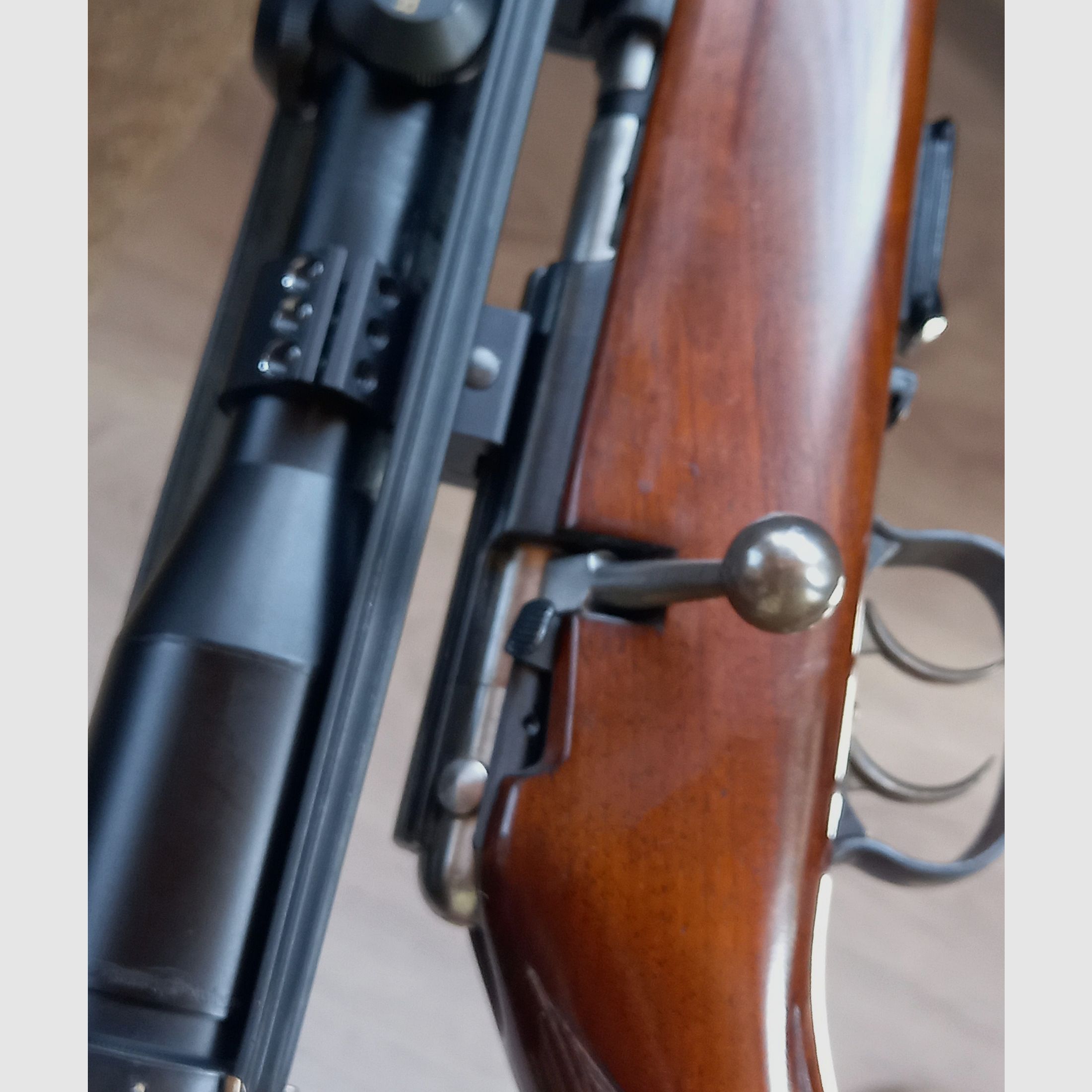 Anschütz 1516 in .22 WMR