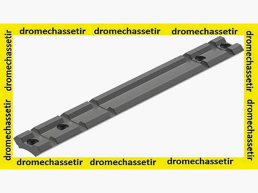 Rail weaver leupold pour carabine savage Axis 120834