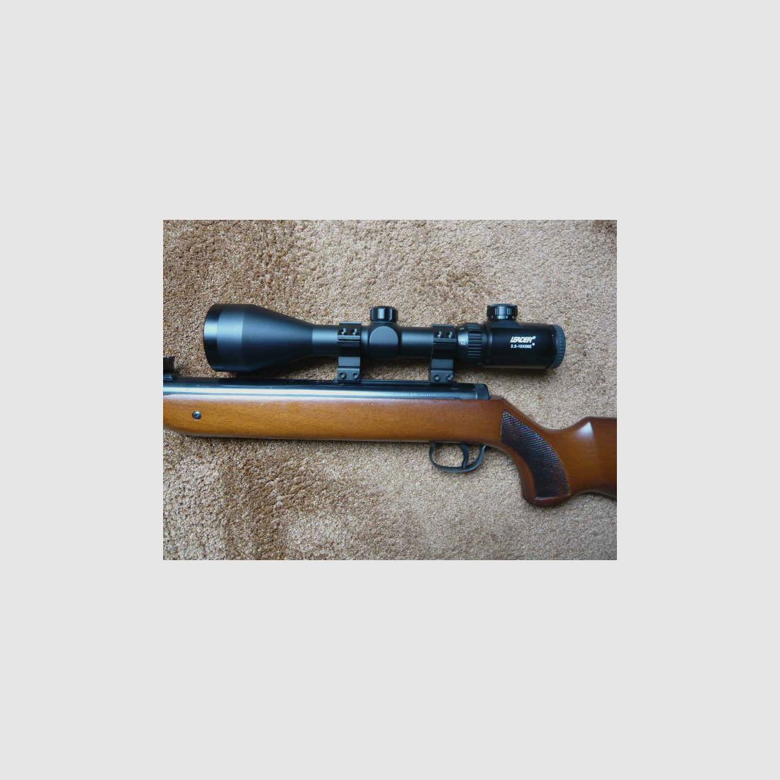 Fusil à air DIANA Mod.35 m.ZFR LEADER 2,5-10X56E