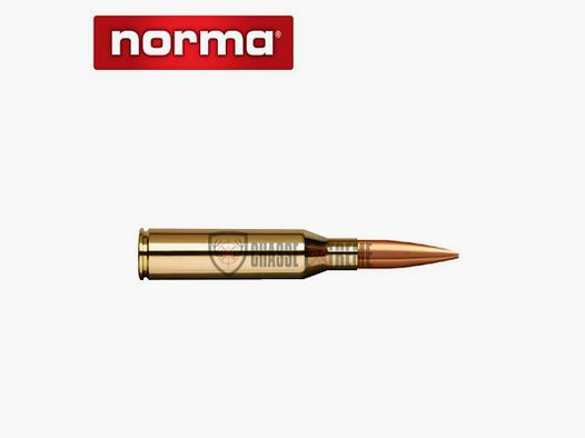 20 Munitions NORMA Cal 338 Norma Mag 300gr Sierra HPBT